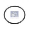 IVECO 504077453 Seal Ring